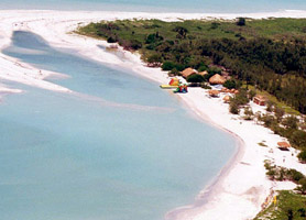 campeche-tortugueros